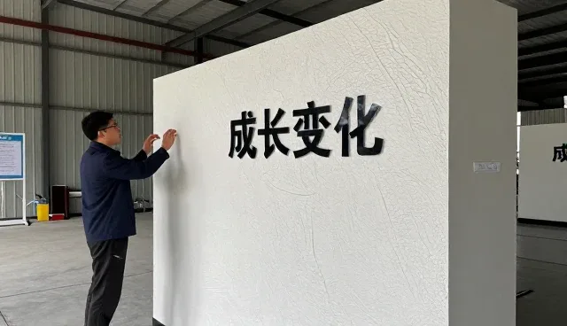 家庭日常使用解决方案中的仿石纹理涂料选择